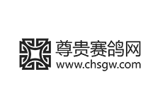 尊貴賽鴿網